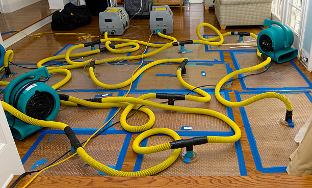Professional Structural Drying And Dehumidification technician working in Washington, TX